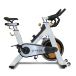 True INDOOR CYCLING BIKE